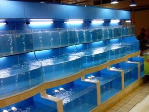 海鲜池制作视频教程,从设计到完工的实用教程