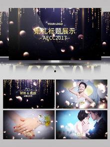 结婚视频片头下载,结婚视频片头背后的浪漫故事